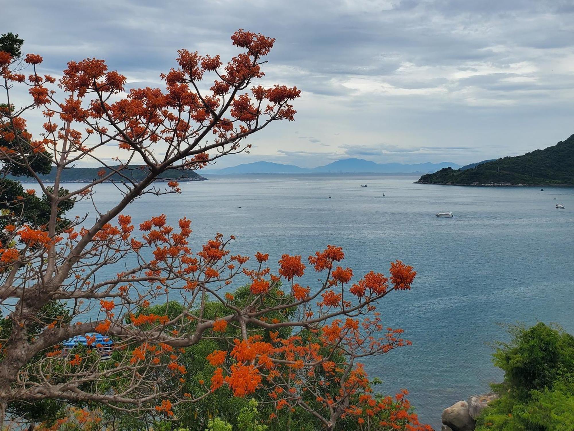 Tuan Thanh Homestay Tân Hiệ Exteriér fotografie